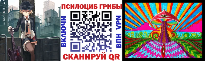 где купить наркотик  Нурлат  Галлюциногенные грибы Magic Shrooms 